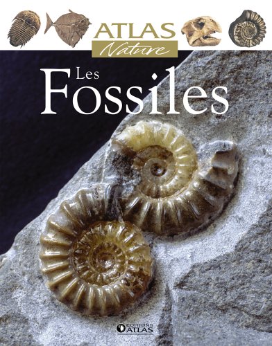 couverture de : Les fossiles