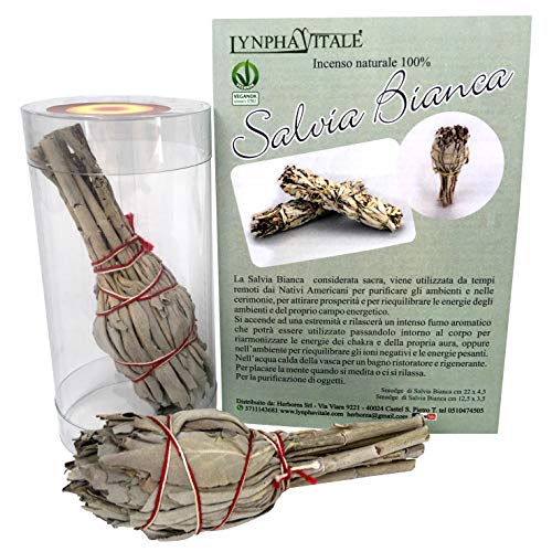 LYNPHA VITALE Smudge Salvia Bianca (White Sage) - Incenso 100% Naturale da Bruciare - Incenso Sciamanico Ideale per purificazione Ambienti, rituali e Cerimonie - 2 pz cm 12x3 (Salvia Apiana)