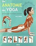 Die Anatomie des Yoga by 