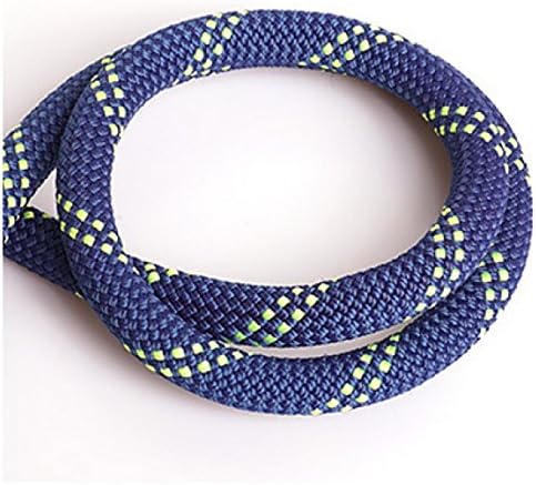 Multi-functional Climbing Rope Diameter 9mm High Strength 10m 20m 30m 40m 21KN Camping Utility Rock Climbing Static Rope,Blue-10m