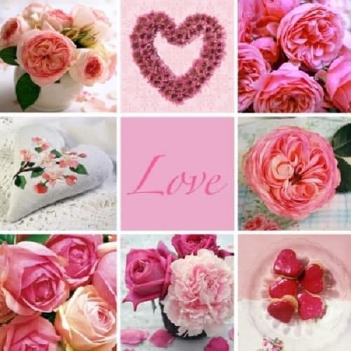 Nouveau Pack of 20 Napkins / Serviettes - Love - 33cm x 33cm - 3ply