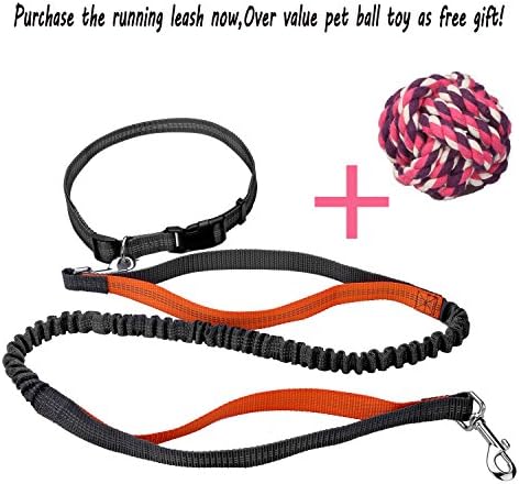 Topperone NEW Running Leash-Hands Free Dog Leash ,Over Value Pet Ball Toy as a Free Gift! Walking & Hiking & Running&Training Dual Handle Running Lead - Shock Absorbing Extendible Bungee - Adjustable Waist Belt