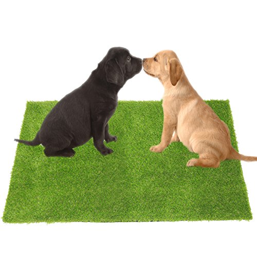 ECO MATRIX Artificial Grass Pet Turf Dog Training Mat Large Fake Grass Doormat Soft Synthetic Grass Rug Green Faux Lawn Carpet for Indoor Outdoor Decoration (39inch x 59inch)