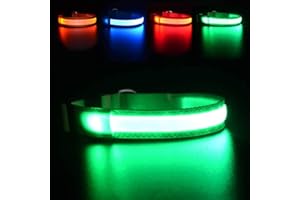 MASBRILL Light Up Dog Collar, LED Dog Collar Lights for the Dark, Rechargeable and Waterproof Flashing Dog Collars with 3 Glowing Modes, Adjustable Pet Collar for Small/Medium/Large Dog(Green M)