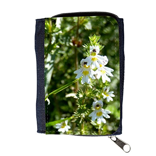Preisvergleich Produktbild Portemonnaie Geldbörse Brieftasche / / M00292129 Eyebright Euphrasia officinalis Blume / / Purse Wallet