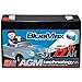 Produktbild BlueMax KidsCar AGM GEL Bleiakku - 6 V / 7,2 Ah Bleigel Akku Gelakku Elektroauto