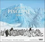 ... geliebte Pinguine 2019 - DuMont Wandkalender - mit den wichtigsten Feiertagen - Format 38,0 x 35,5 cm by