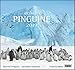 ... geliebte Pinguine 2019 - DuMont Wandkalender - mit den wichtigsten Feiertagen - Format 38,0 x 35,5 cm by