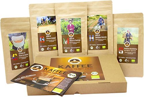Coffee Globetrotter - Bio-Box (Organic) Whole Bean - for Coffee Grinder, Hand Grinder, Bean - to - Cup Machine - 5 Times 100g Rarities Top Coffee - Five Types of Coffee from Organic Farming