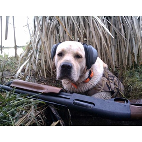 Mutt-Muffs-Dog-Ear-Defenders