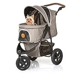 Togfit-Pet-Roadster