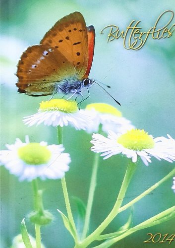 Butterflies 2014 Agenda (Unisize Agenda) libro