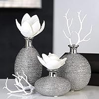 Suchergebnis auf Amazon.de für: Deko-Ideen - Vasen / Wohnaccessoires