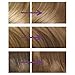 Clairol Nice'n Easy Permanent Hair Dye 103B/8CB Natural Medium Champagne Blonde