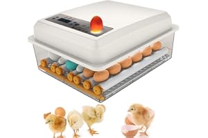 ZWPARTS Incubateur automatique à 16 œufs pour œufs automatiques, ovaires, écran numérique pour la maison, rotation automatique et contrôle de la température