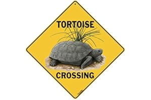 BCTS Panneau en métal Humoristique en Forme de Tortue pour Reptiles et Tortues 30,5 x 30,5 cm