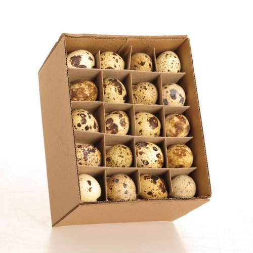 Ostern Geschenke - Deko Ostern