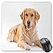 Produktbild BGLKCS Golden Retriever Mauspads Mouse Pad, Young Pedigree Puppy Laying over White Background Sweet Baby Dog, Standard Size Rectangle Non-Slip Rubber Mousepad, Sand Brown White