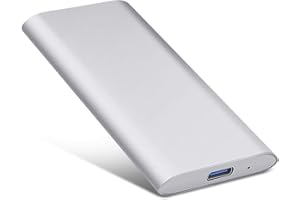 SINCELO Externe Festplatte 2tb,Type C USB 3.1 Tragbare Festplatte extern für PC, Mac, Desktop, Laptop, MacBook, Chromebook (2tb, Silber)