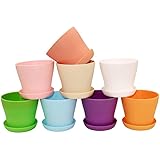 KINGLAKE 8 Stück Plastik Blumentopf, 10CM Pflanztöpfe in 8 Farben Perfekt für Home Büro Dekoration