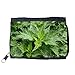 Produktbild Portemonnaie Geldbörse Brieftasche // M00291521 Brennessel Weed Herbs Ppflanze Garten // Purse Wallet