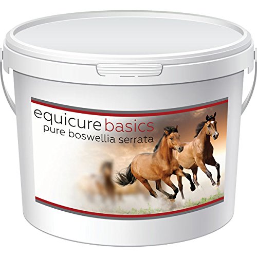 Equicure-Basics-Pure-Boswellia-Serrata-Equine-Supplement