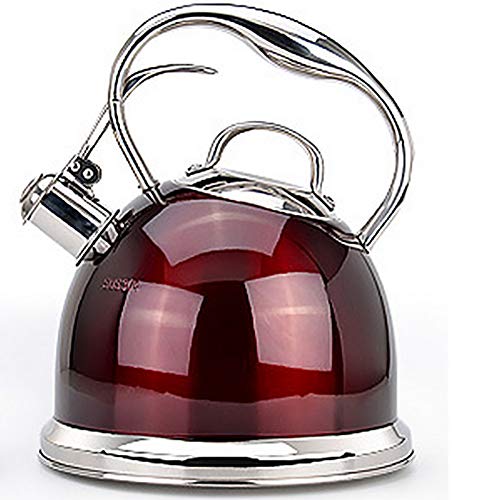 Bouilloire  Gaz En Acier Inoxydable,Red