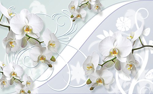 Olimpia Design Fototapete Orchidee, 1 Stück, 1206P8