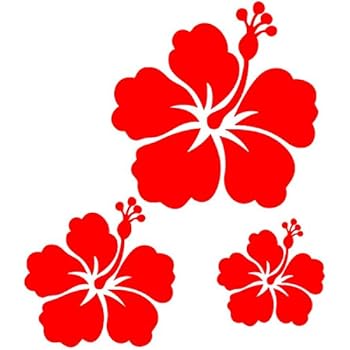 Amazonfr Toptshirt Sticker Autocollant 3 Fleurs D