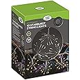 Smart Garden Products Ltd Starburst Lights – Set of 10