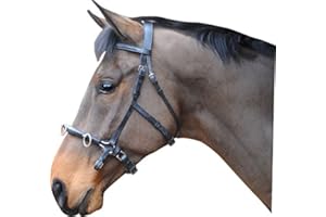 IV Horse Super Pro Leather Lunge Cavesson (Pony)