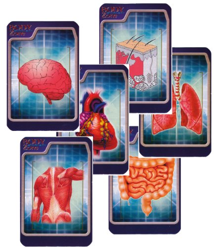 Eduplay 120032 – Anatomie Menschlicher Torso - 3