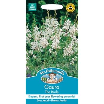 Mr Fothergills - Pictorial Packet - Flower - Gaura - The Bride - 30