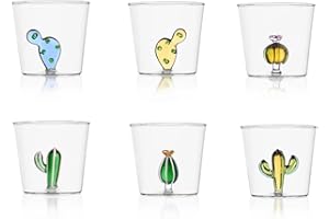Ichendorf Vetro Set 6 Bicchieri da Acqua Decorati Cactus Desert Plants, 300ml