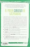 Image de El poder curativo de las plantas
