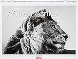 Wildes Afrika - Kalender 2019 by 