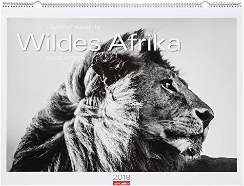 Wildes Afrika - Kalender 2019