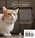 Image de Crafting with Cat Hair: Cute Handicrafts to Make With Your Cat