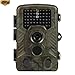Produktbild Ecarton Wildkameras, 2.4 Zoll LCD-Anzeige 720P PIR Sensor Control Scouting Infrarot Wildlife Trail Kamera 42 LEDs für Nachtsicht, Wasserdicht IP56 100 Grad Weitwinkel 1080P HD Jagd Kamera, Scouting Überwachungskamera für Wildtiere mit 32G SD Karte