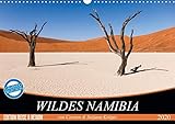 Wildes Namibia (Wandkalender 2020 DIN A3 quer) by