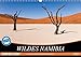 Wildes Namibia (Wandkalender 2020 DIN A3 quer) by