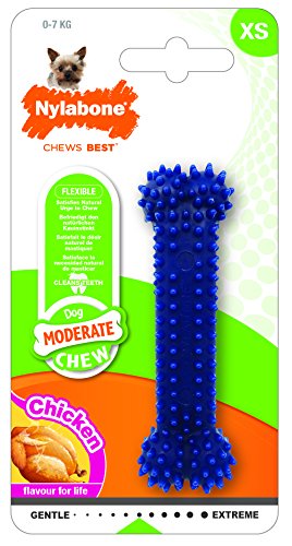 Nylbone JU01800 Moderate Chew Twin Pack XS