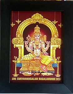 Framtastic Baglamukhi Photo Frame