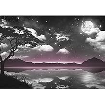 Suchergebnis auf Amazon.de für: fototapete schlafzimmer