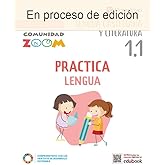 Practica Lengua, Lengua Castellana y Literatura 1.1, Comunidad Zoom