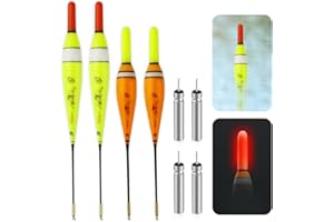 BNGXR 4 Pièces Flotteur PêChe, 6g/10g Bouchon Lumineux Peche, Flotteurs pour Pêche, Flotteur Lumineux de Pêche Nuit, avec Détection de Gravité et Base en Métal, pour la pêche en lac, Rivière ou étang