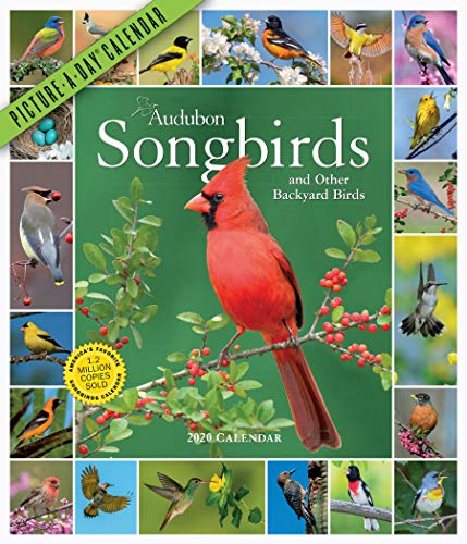 Recherche et téléchargement gratuits de livres DJVU Audubon Songbirds Picture-a-day 2020 Calendar PDF 