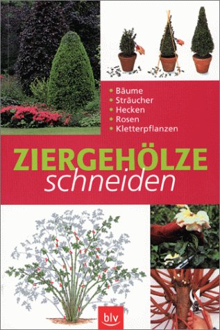 Download Ziergehölze schneiden