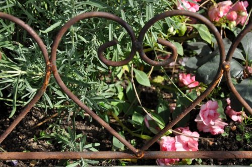 Beetzaun, Beetbegrenzer, L: 50 cm, Metall, Volleisen! - 6