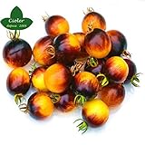 tomate dulce o salado Ciclo medio, muy buena calidad de tomate y buena conservación.